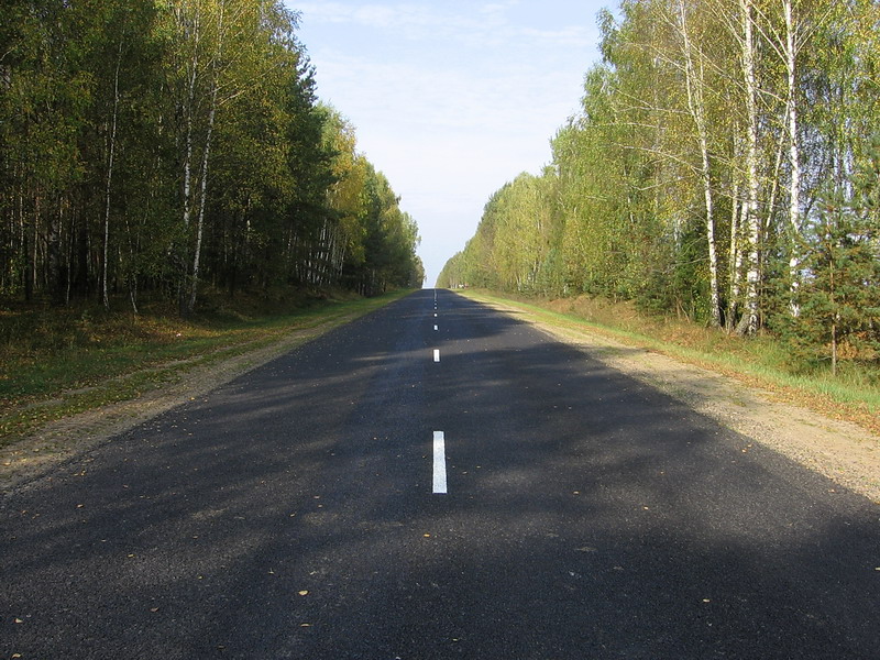 Дорога в осень
