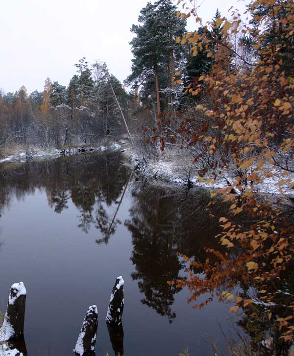 осенняя #2