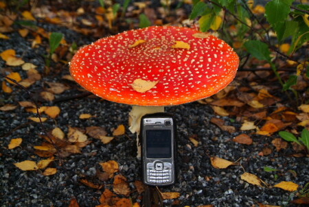 N70