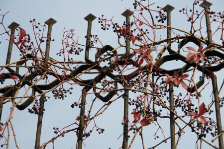 Переплетение