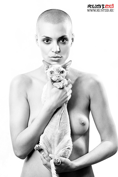 CatBald