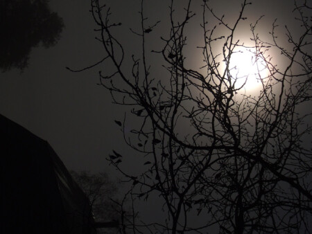 Осенняя соната...