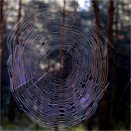 Мелодия осени