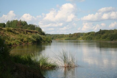 В тихом омуте...