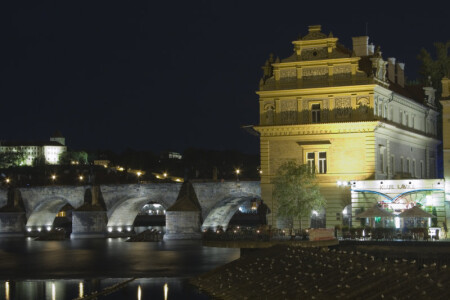 Серожелтые соседи