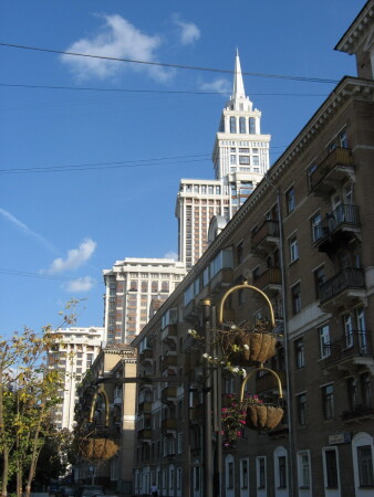 цветы города