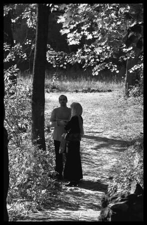 Разговор под кленом