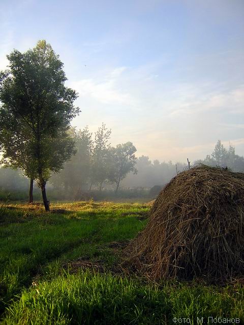 Утро