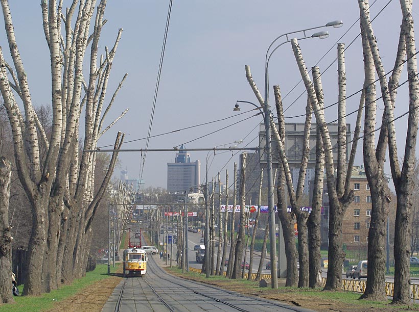 Cквозь строй