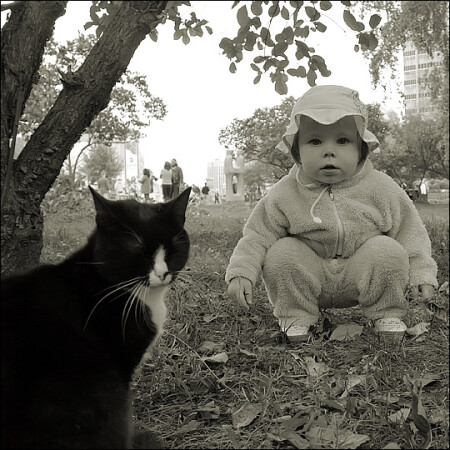 Cat and child [Кошка и ребенок]