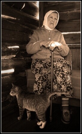 бабушка и кот