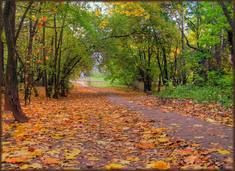 Осень