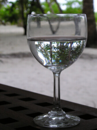 лес в стакане