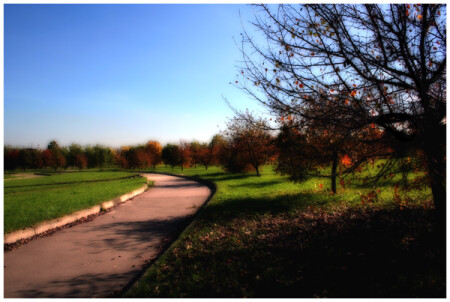 Сквер Онкологического центра