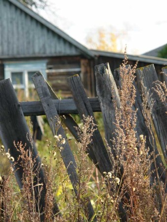 старый забор