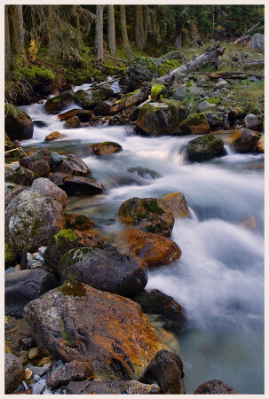 Про рыжие мокрые камни...и бурные-бурные воды.