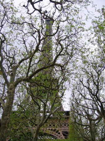 Парижские кружева