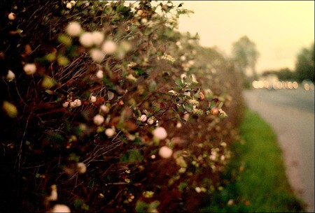 Пробы дальномерки
