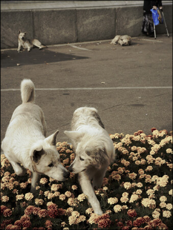 ..is it love?