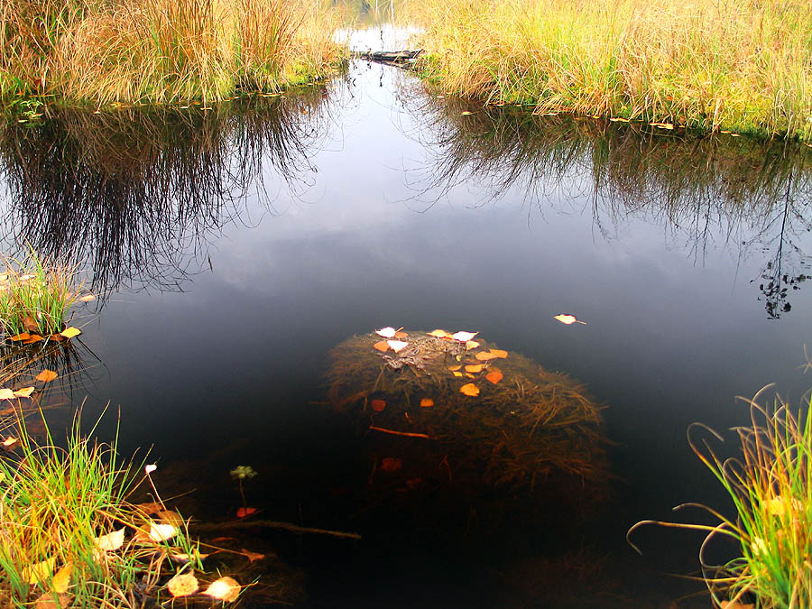 Водяной