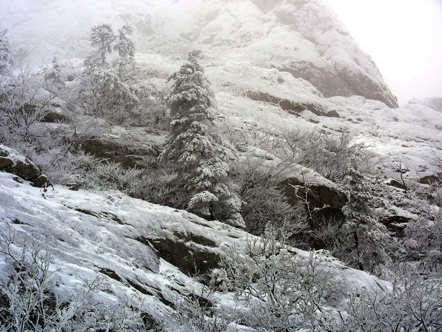 Зимний кулуар