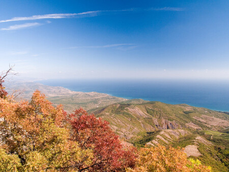 Дикий, дикий восток. Крымъ