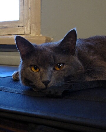 Хозяин гостиницы