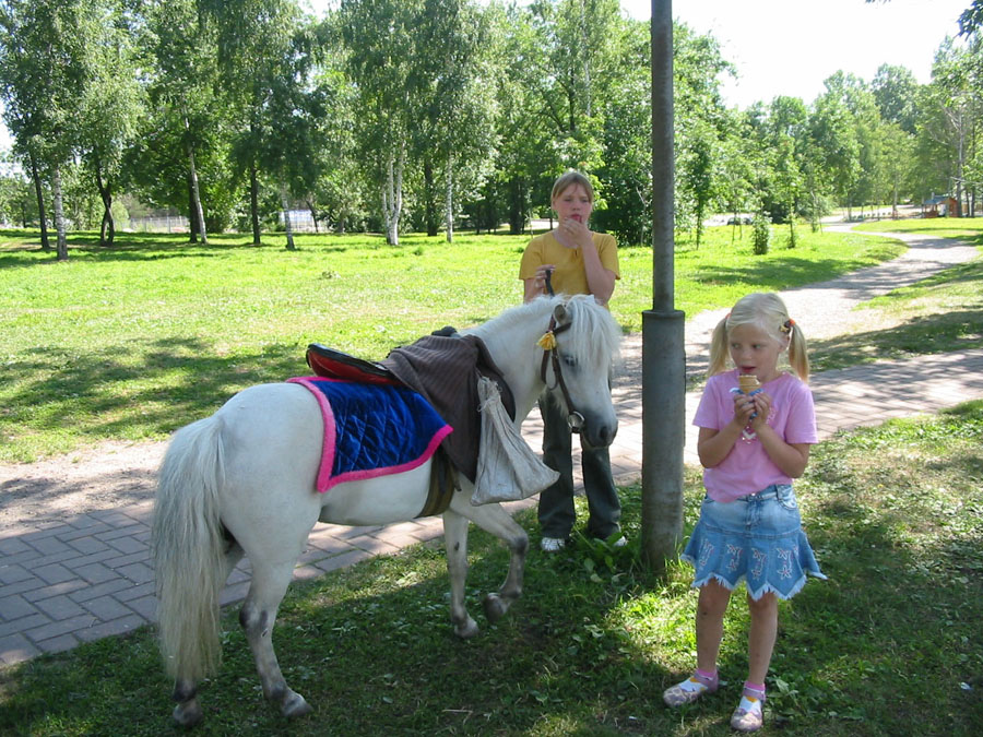 Дай попробовать!