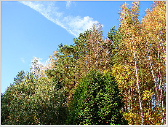 Краски осени (1).