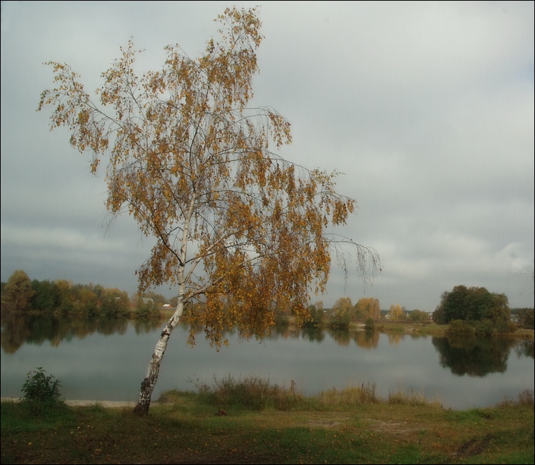 Осень в квадрате