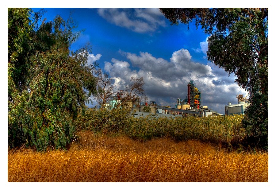 Nesher