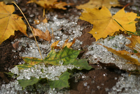 Осколки Осени