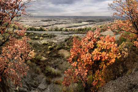 Осенний простор