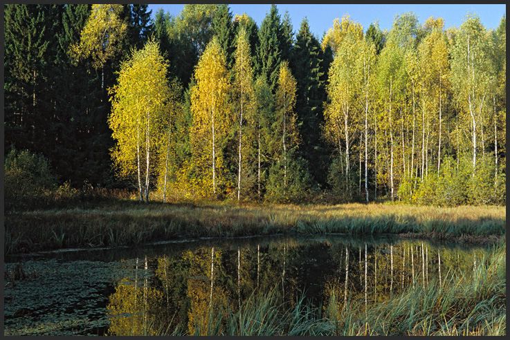 Прощание Осени