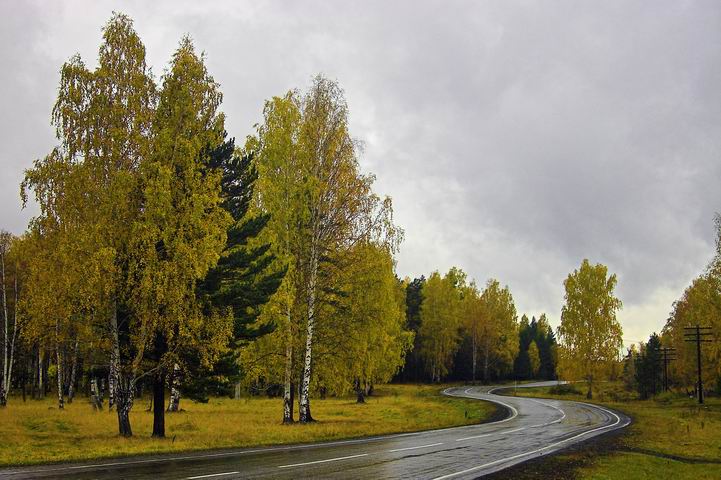 Дорога