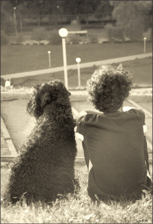 Одна майка на двоих