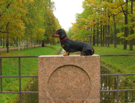 вписался