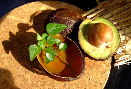 AVOCADO