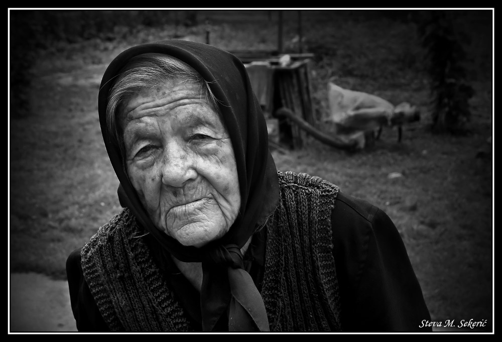 УМЕЋЕ ЖИВЉЕЊА