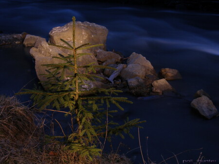 Черный Черемош