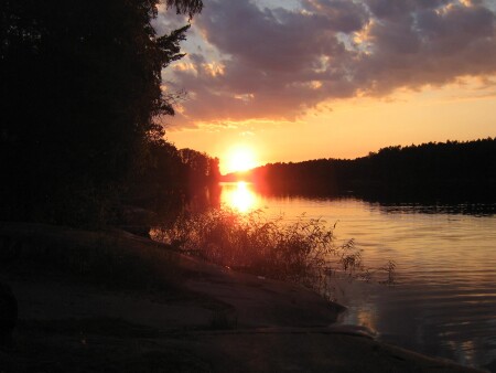 Добрый вечер господа..