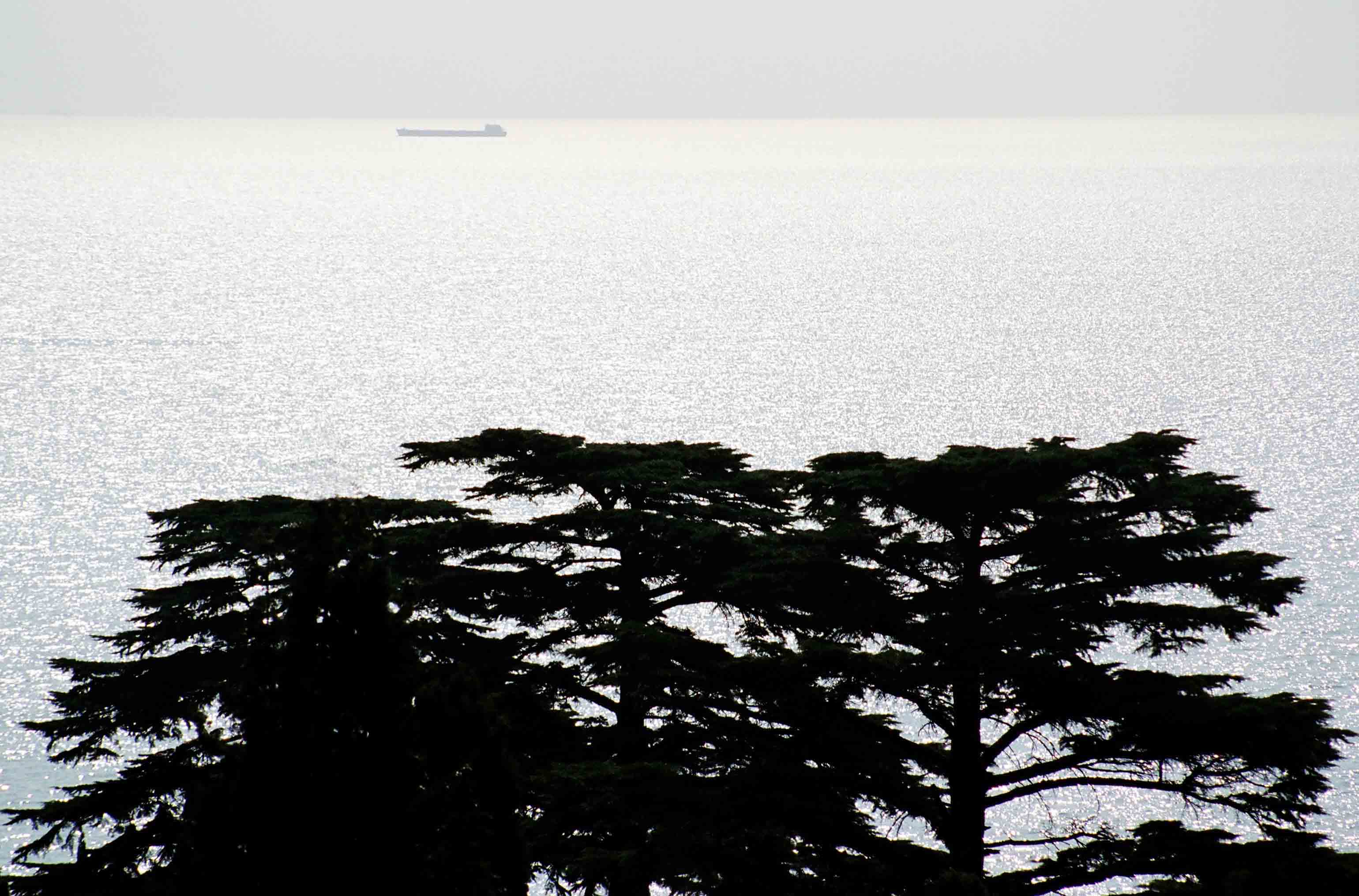 Sea #001