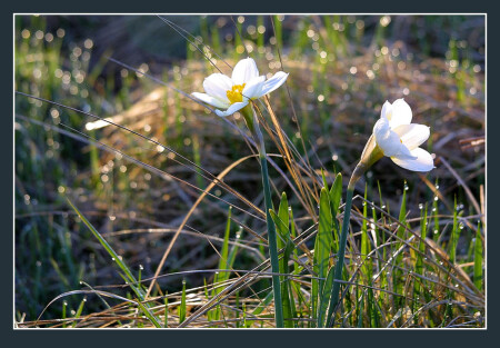 Запах свежести