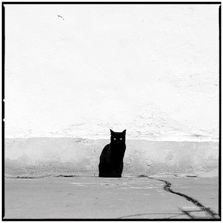 devil_inside