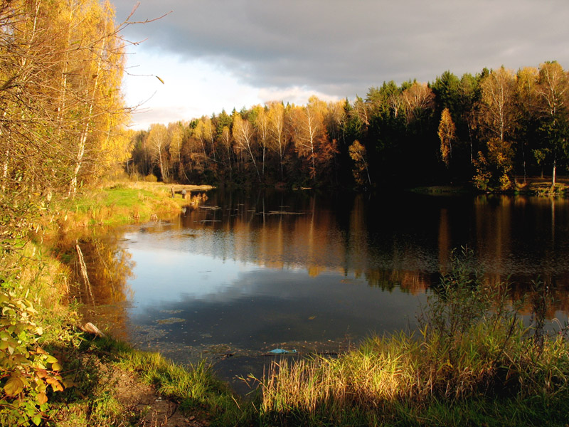 Красивая осень