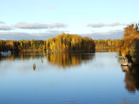 Золото Осени