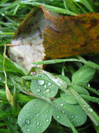 Октябрь. Борьба