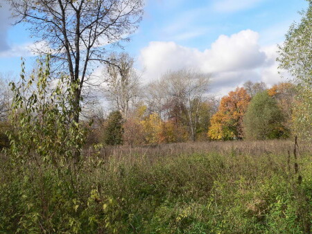 Осень в Кусково (#1)