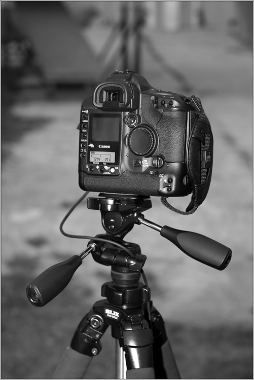 Canon 1DS Mark II