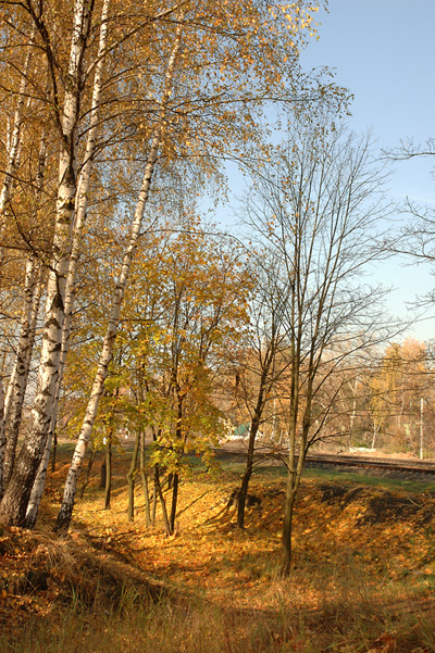 Осень